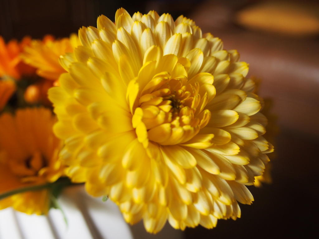 Maison Tombelaine Vains 部屋 写真